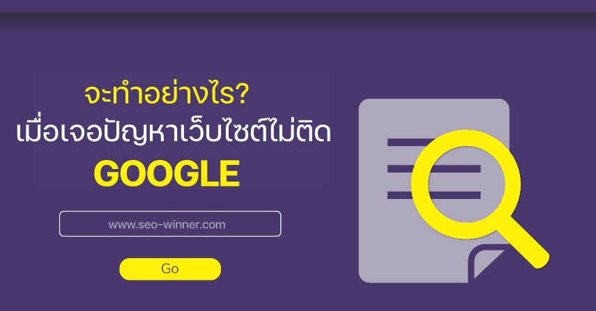 จะทำอย่างไร เมื่อเจอปัญหาเว็บไซต์ไม่ติด Google by seo-winner.com